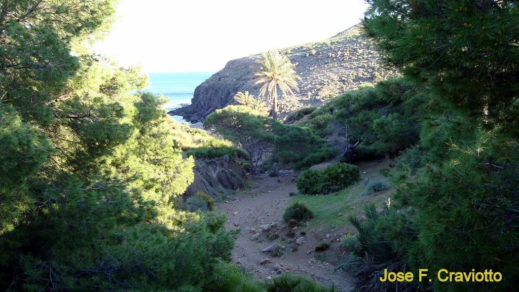 Apartamento Del Mar La Isleta Del Moro Lägenhet Exteriör bild